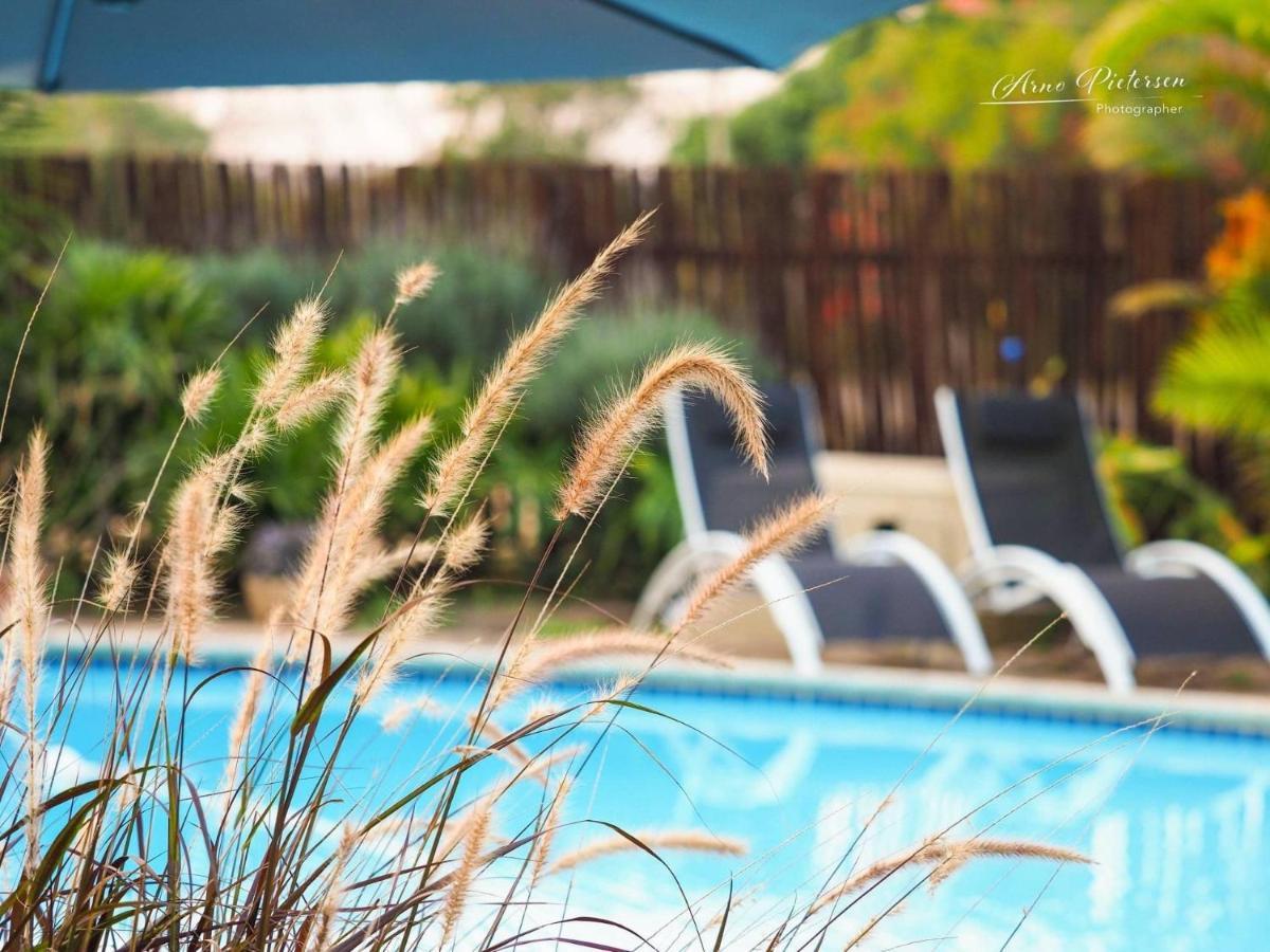 Fever Tree Guesthouse ฮิลเครสต์ ภายนอก รูปภาพ